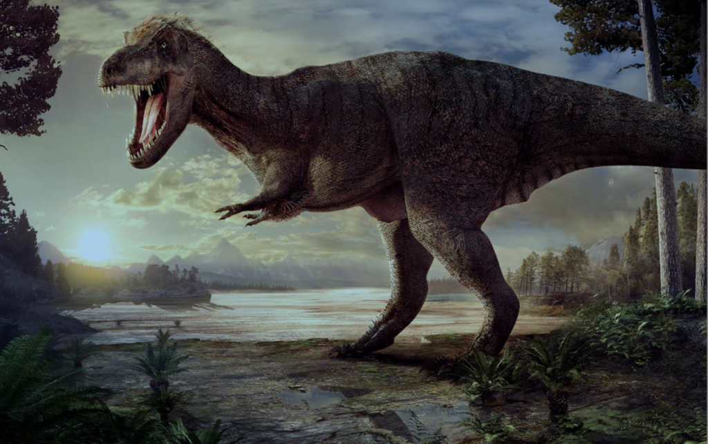 t.rex-museum-histoire-naturelle