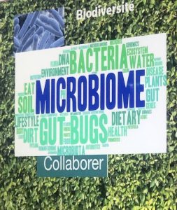 MICROBIOME-zenitudeprofondelemag.com