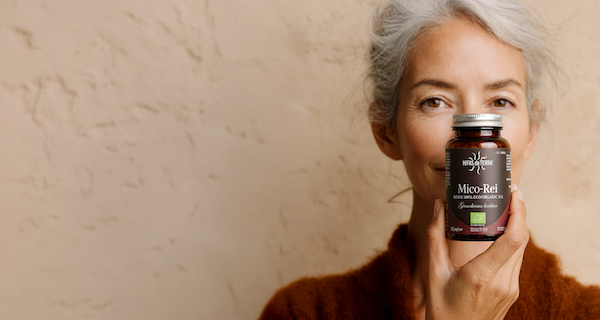 HIFAS DA TERRA: LA SCIENCE RENCONTRE LA SAGESSE DE LA NATURE hifas da terra-zenitudeprofondelemag.com