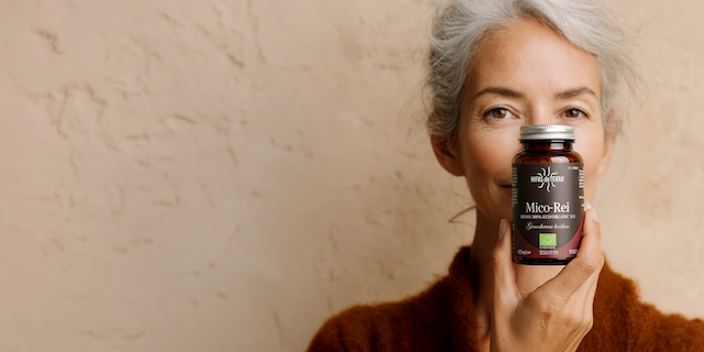 hifas da terra-zenitudeprofondelemag.com