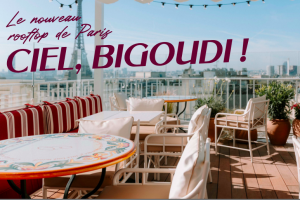 bigoudi nouveau rooftop parisien zenitudeprofondelemag.com